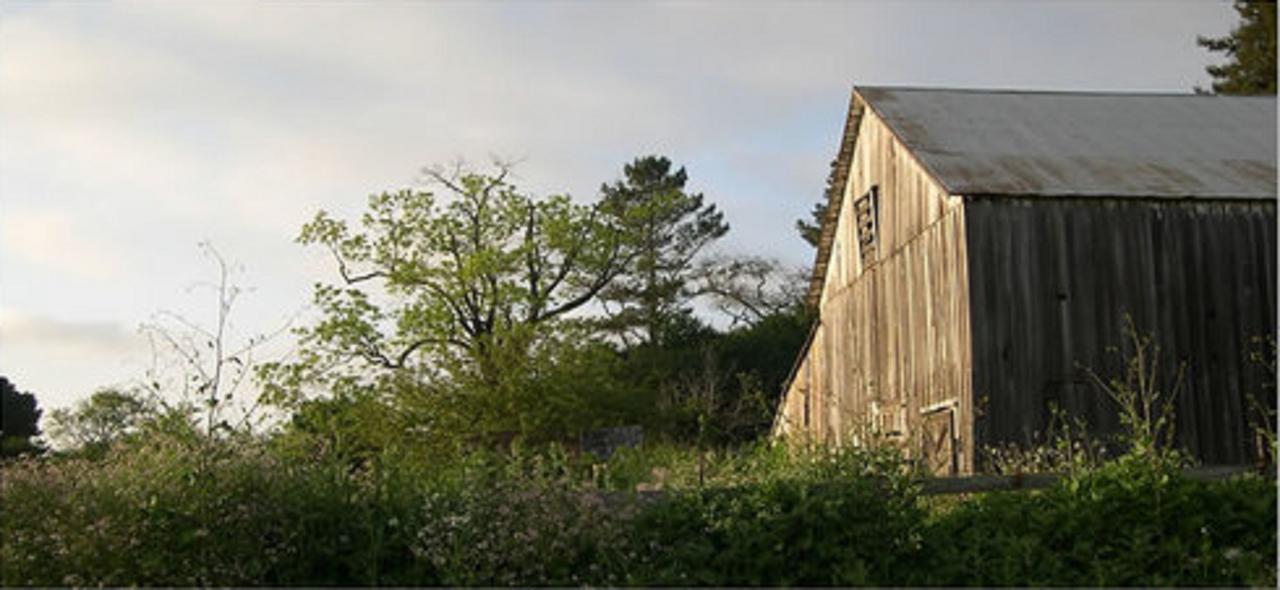 The Gables Wine Country Inn Санта Роза Екстериор снимка